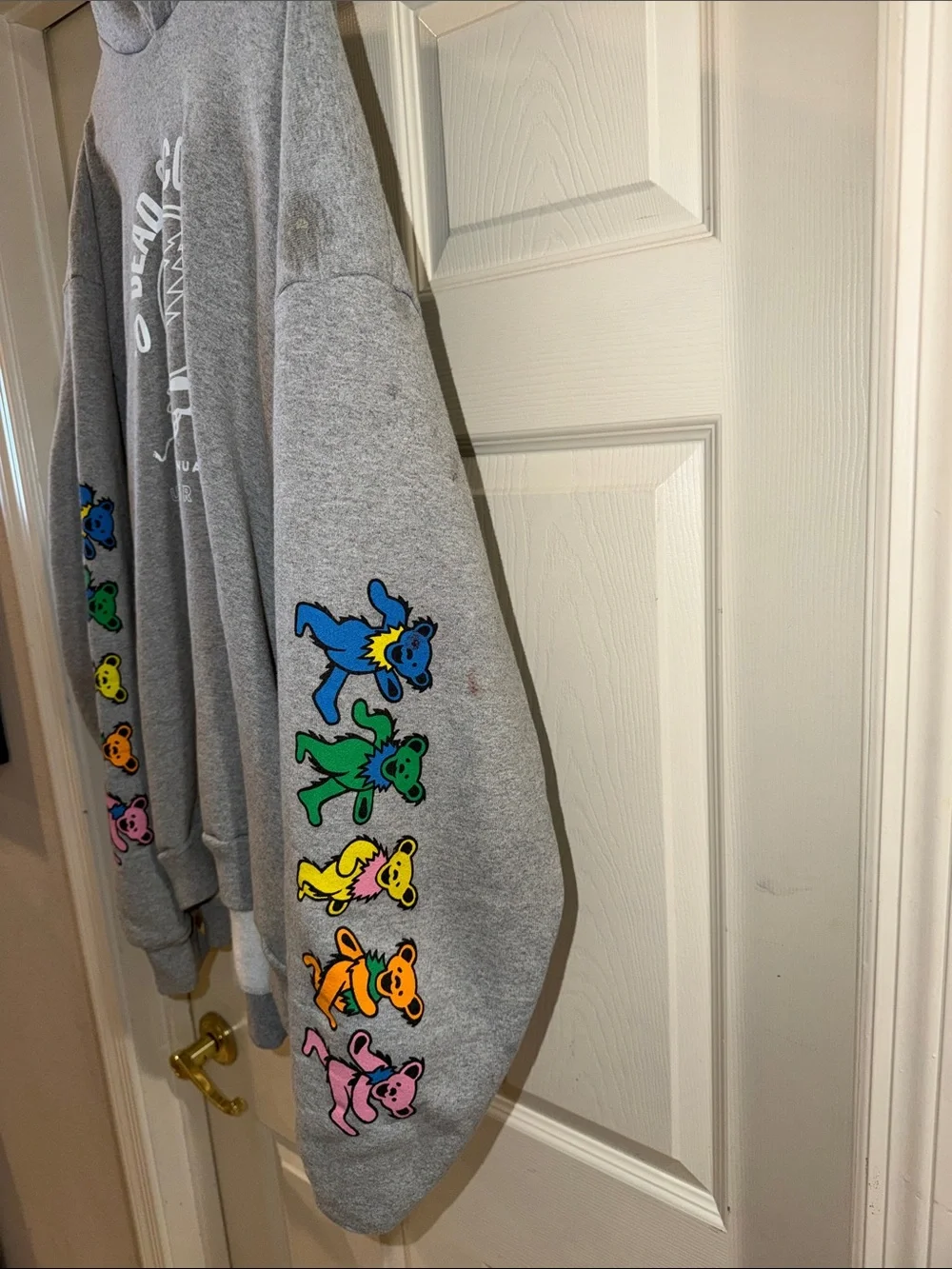 Dead & Company Summer Tour 2018 hoodie
